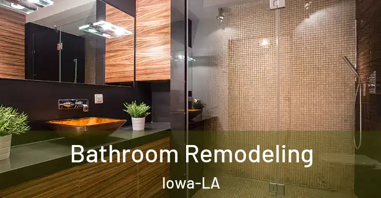 inner Bathroom imggen Bathroom Remodeling Iowa-LA