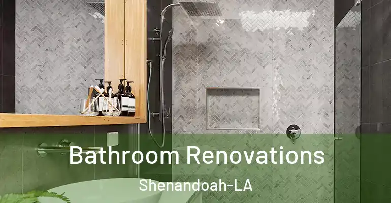inner Bathroom imggen Bathroom Renovations Shenandoah-LA