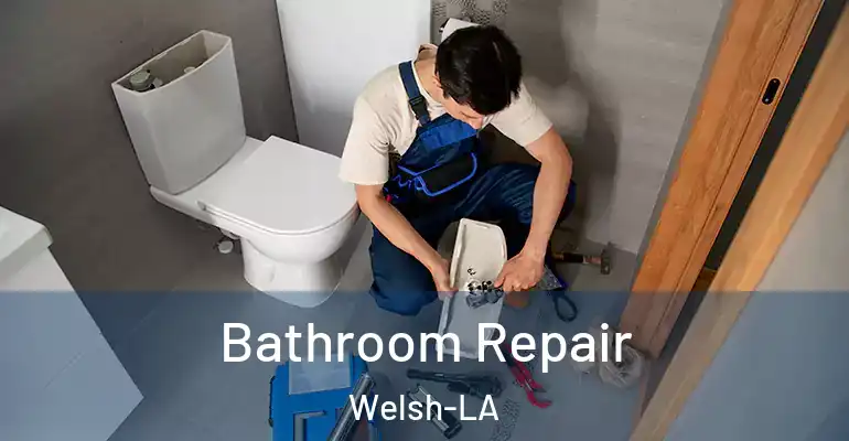 inner Bathroom imggen Bathroom Repair Welsh-LA