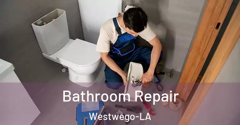 inner Bathroom imggen Bathroom Repair Westwego-LA