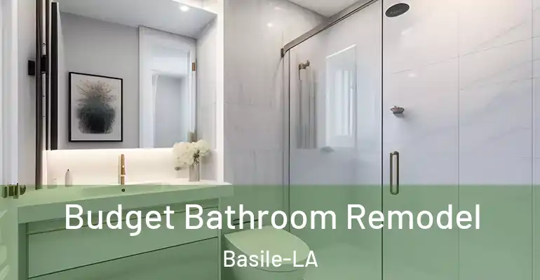 inner Bathroom imggen Budget Bathroom Remodel Basile-LA