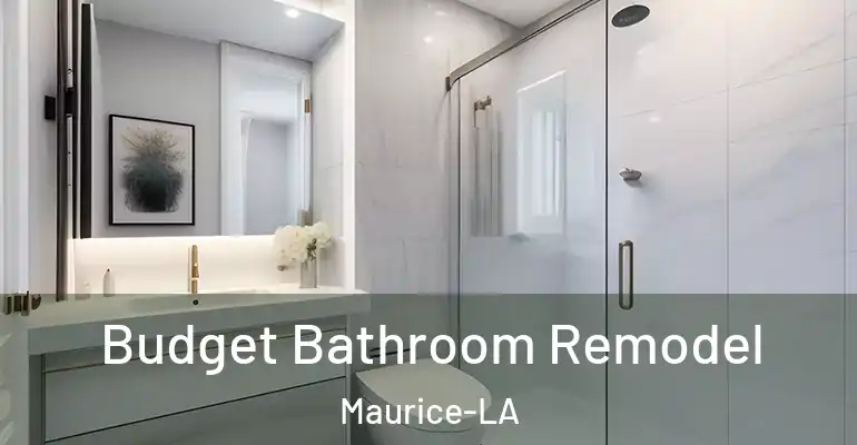 inner Bathroom imggen Budget Bathroom Remodel Maurice-LA