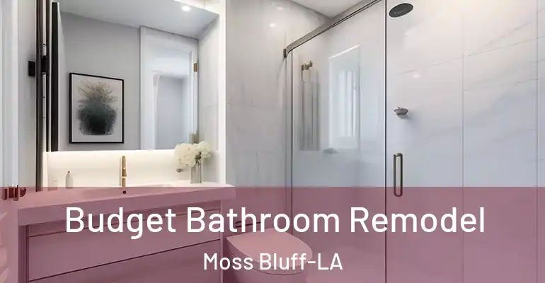 inner Bathroom imggen Budget Bathroom Remodel Moss Bluff-LA