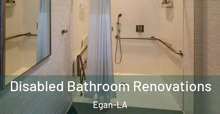 inner Bathroom imggen Disabled Bathroom Renovations Egan-LA