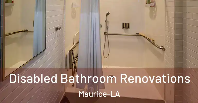 inner Bathroom imggen Disabled Bathroom Renovations Maurice-LA