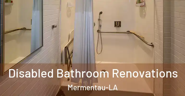 inner Bathroom imggen Disabled Bathroom Renovations Mermentau-LA