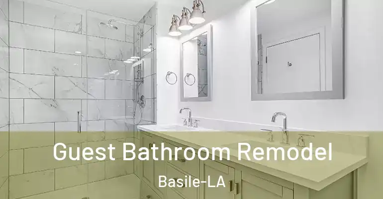 inner Bathroom imggen Guest Bathroom Remodel Basile-LA