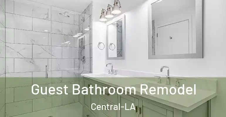 inner Bathroom imggen Guest Bathroom Remodel Central-LA