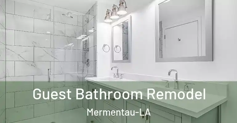 inner Bathroom imggen Guest Bathroom Remodel Mermentau-LA