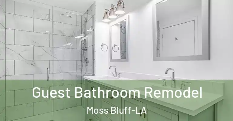 inner Bathroom imggen Guest Bathroom Remodel Moss Bluff-LA