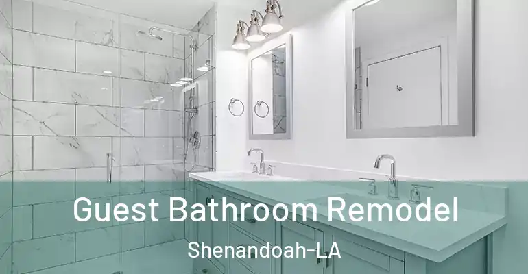 inner Bathroom imggen Guest Bathroom Remodel Shenandoah-LA