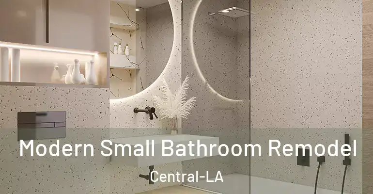 inner Bathroom imggen Modern Small Bathroom Remodel Central-LA