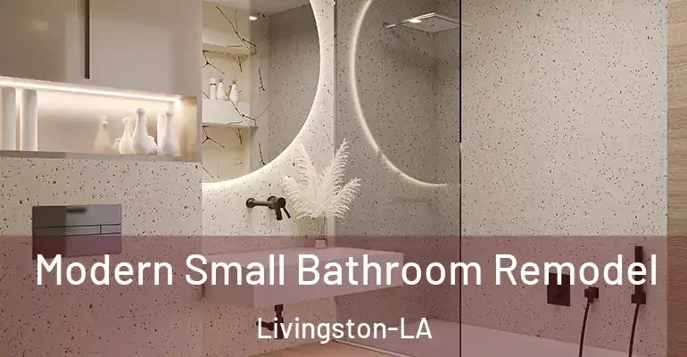 inner Bathroom imggen Modern Small Bathroom Remodel Livingston-LA
