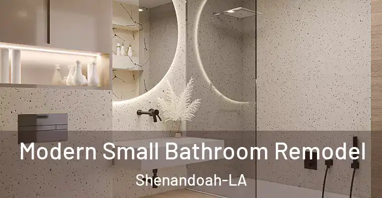inner Bathroom imggen Modern Small Bathroom Remodel Shenandoah-LA