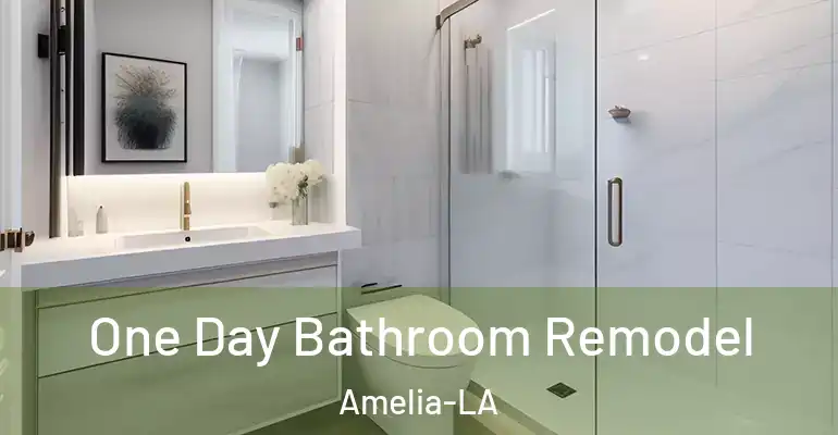 inner Bathroom imggen One Day Bathroom Remodel Amelia-LA