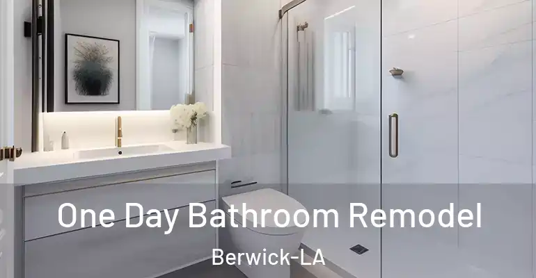 inner Bathroom imggen One Day Bathroom Remodel Berwick-LA