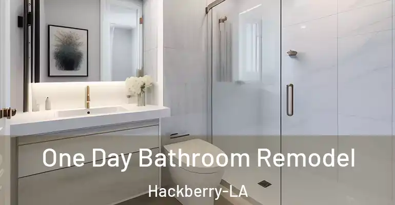 inner Bathroom imggen One Day Bathroom Remodel Hackberry-LA