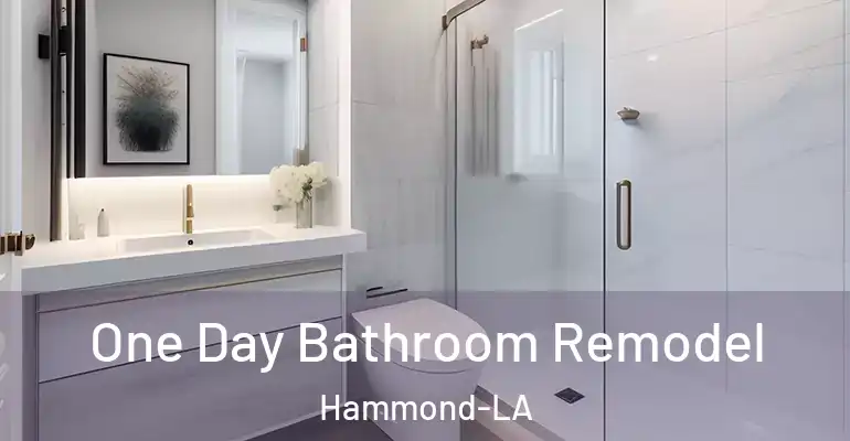 inner Bathroom imggen One Day Bathroom Remodel Hammond-LA