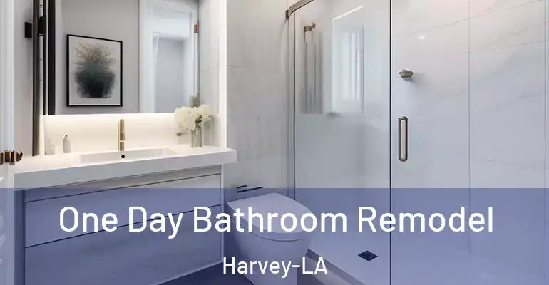 inner Bathroom imggen One Day Bathroom Remodel Harvey-LA