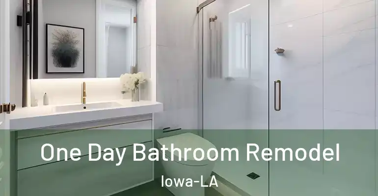 inner Bathroom imggen One Day Bathroom Remodel Iowa-LA
