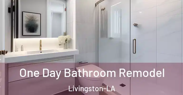 inner Bathroom imggen One Day Bathroom Remodel Livingston-LA