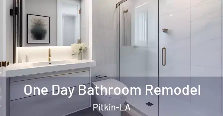inner Bathroom imggen One Day Bathroom Remodel Pitkin-LA