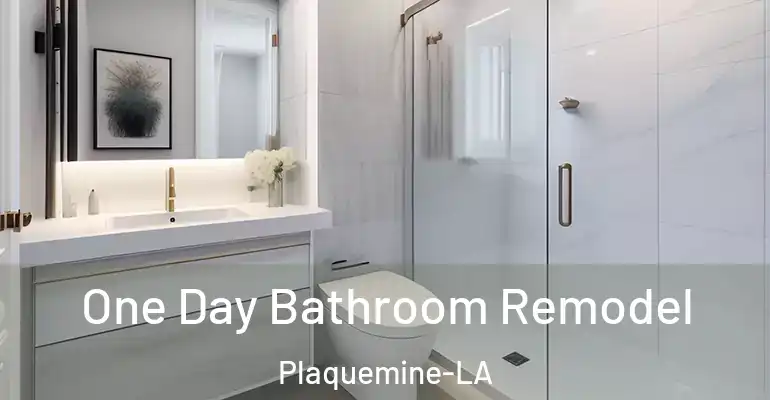 inner Bathroom imggen One Day Bathroom Remodel Plaquemine-LA