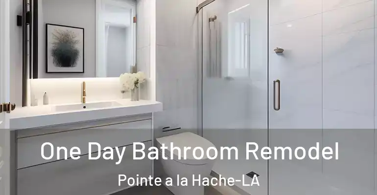 inner Bathroom imggen One Day Bathroom Remodel Pointe a la Hache-LA