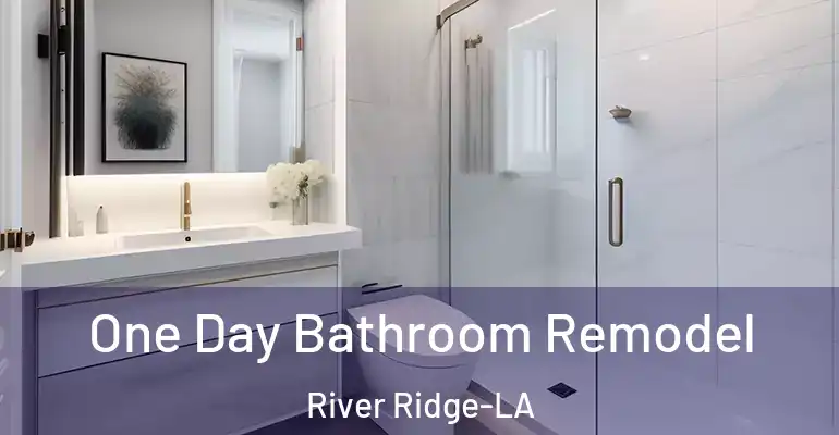 inner Bathroom imggen One Day Bathroom Remodel River Ridge-LA
