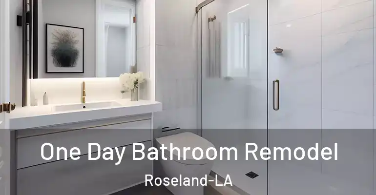 inner Bathroom imggen One Day Bathroom Remodel Roseland-LA
