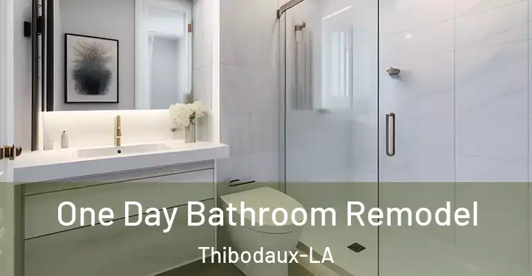 inner Bathroom imggen One Day Bathroom Remodel Thibodaux-LA