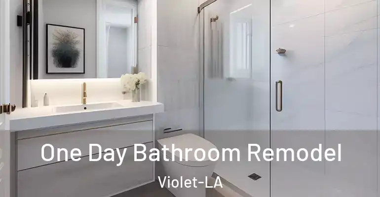 inner Bathroom imggen One Day Bathroom Remodel Violet-LA