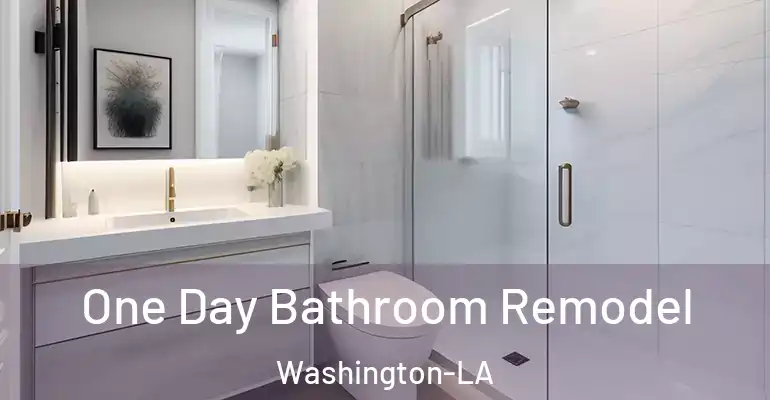 inner Bathroom imggen One Day Bathroom Remodel Washington-LA
