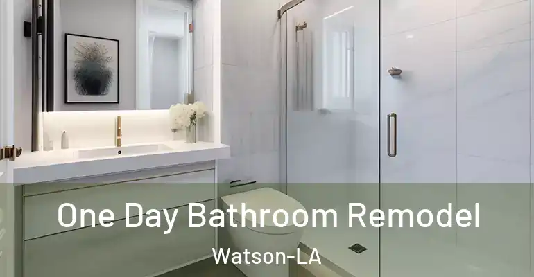 inner Bathroom imggen One Day Bathroom Remodel Watson-LA