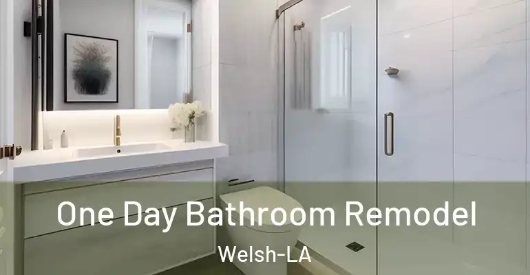 inner Bathroom imggen One Day Bathroom Remodel Welsh-LA