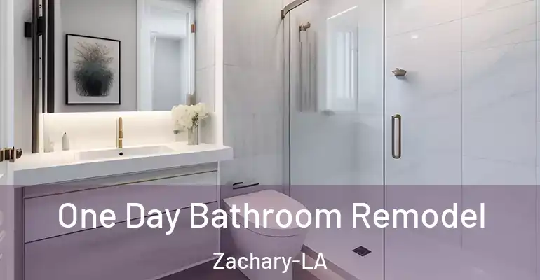 inner Bathroom imggen One Day Bathroom Remodel Zachary-LA