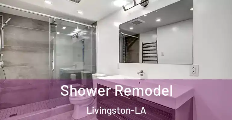 inner Bathroom imggen Shower Remodel Livingston-LA