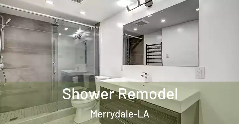 inner Bathroom imggen Shower Remodel Merrydale-LA