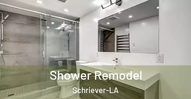 inner Bathroom imggen Shower Remodel Schriever-LA