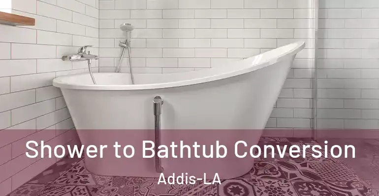 inner Bathroom imggen Shower to Bathtub Conversion Addis-LA