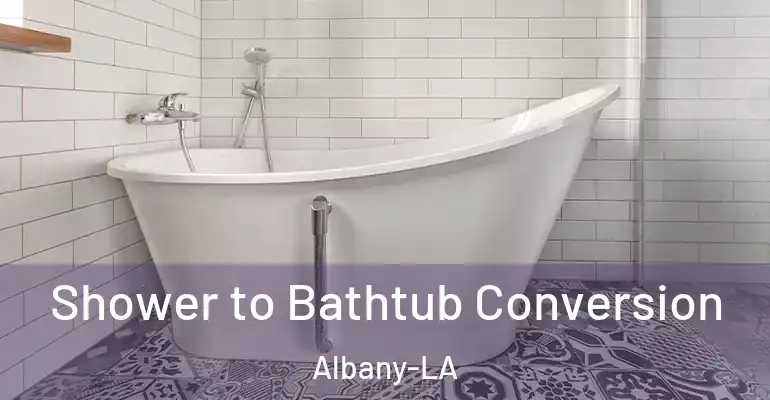 inner Bathroom imggen Shower to Bathtub Conversion Albany-LA