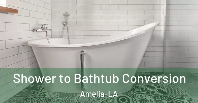 inner Bathroom imggen Shower to Bathtub Conversion Amelia-LA
