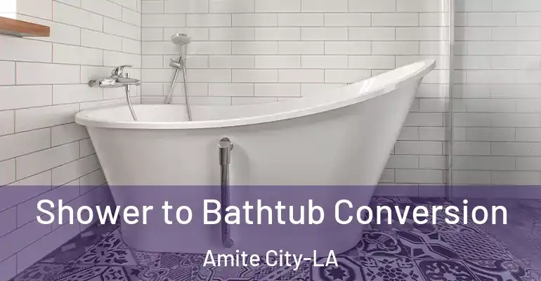 inner Bathroom imggen Shower to Bathtub Conversion Amite City-LA