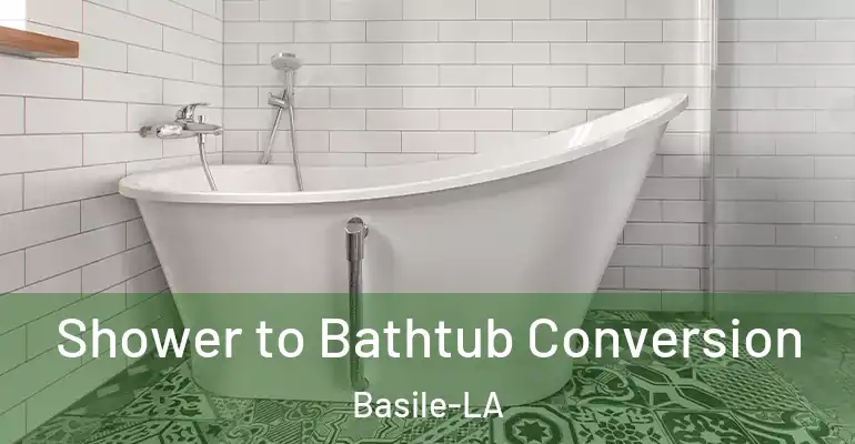 inner Bathroom imggen Shower to Bathtub Conversion Basile-LA