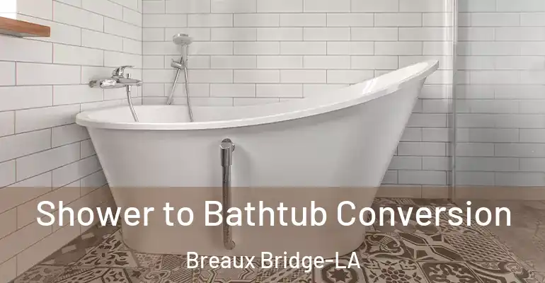 inner Bathroom imggen Shower to Bathtub Conversion Breaux Bridge-LA
