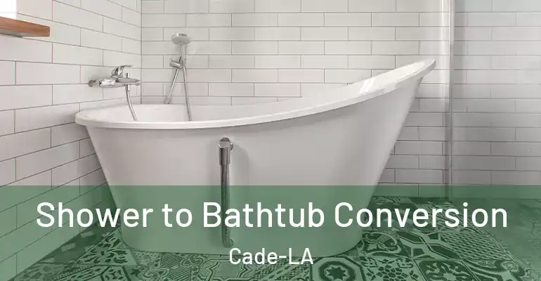 inner Bathroom imggen Shower to Bathtub Conversion Cade-LA
