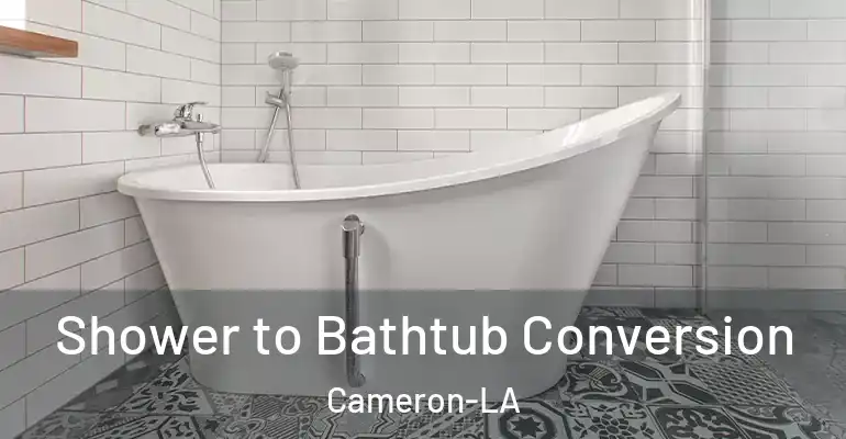 inner Bathroom imggen Shower to Bathtub Conversion Cameron-LA