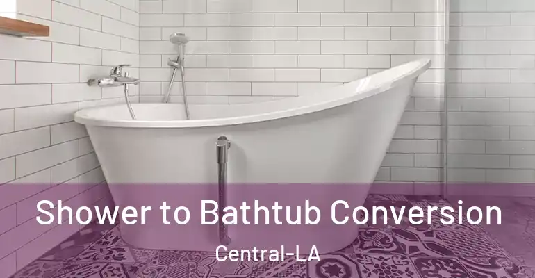 inner Bathroom imggen Shower to Bathtub Conversion Central-LA