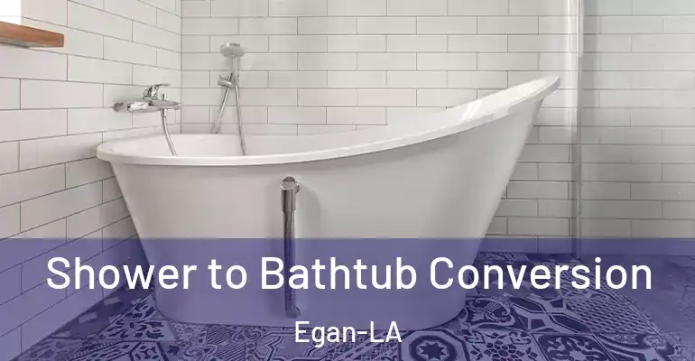 inner Bathroom imggen Shower to Bathtub Conversion Egan-LA
