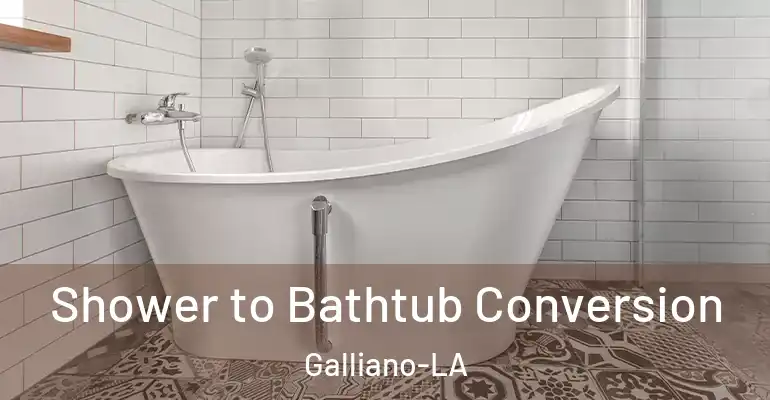 inner Bathroom imggen Shower to Bathtub Conversion Galliano-LA